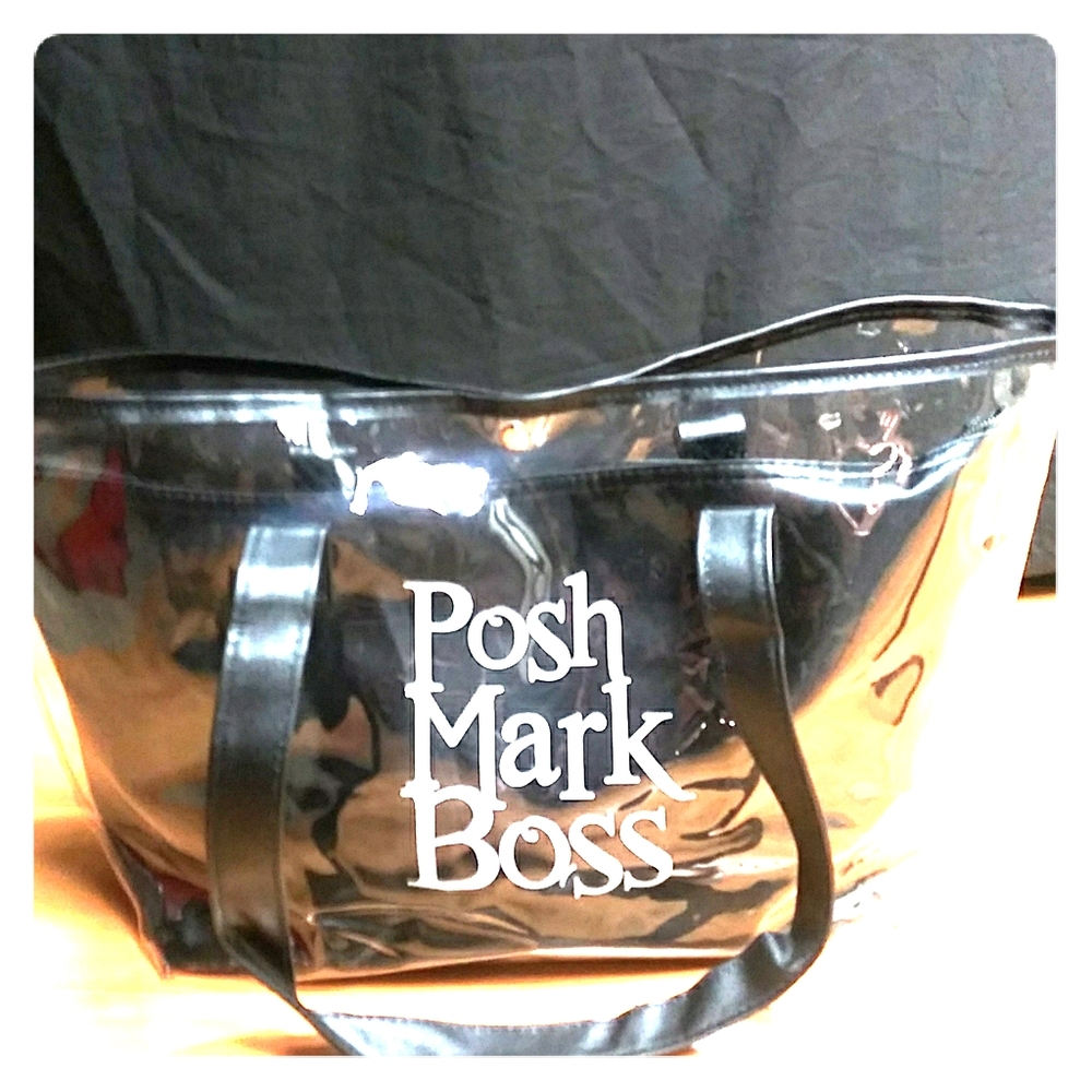 "Posh Swag" NWOT clear POSH BOSS bag